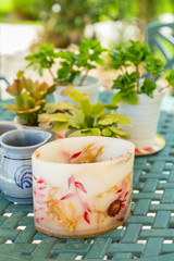 Detail of candle with plants