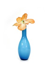 Beautiful orchid and vase on a white background