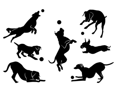 dog playing with a ball. black silhouette. vector