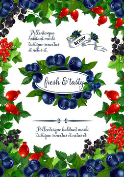 Vector poster of fresh berries and fruits