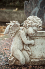 ange au cimetière
