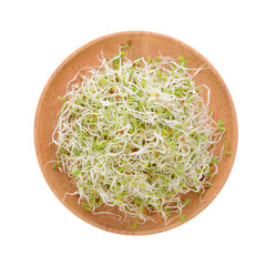 Alfalfa Sprout in wood plate on white background