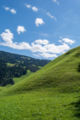 Fototapeta na wymiar Berg mit grüner Wiese - Hügel 