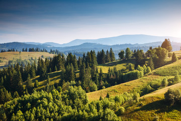 Great view of the alpine valley. Location place Carpathian, Ukraine, Europe.