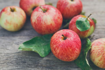 Fresh apples harvest on rustic wood