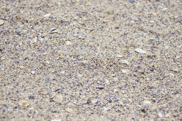 Close up broken seashell with holes on the sand at the beach by the sea.