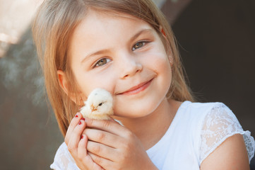 Happy little girl  holds a chicken in his hands. Child with poultry.  Close view of baby chick in girl's hand. Selective focus and a warm color photo. Domestic animals. © steftach
