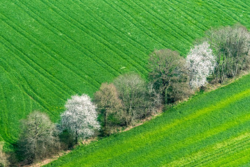 Vue aérienne de champ dans l'Orne en France