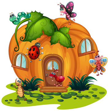 Pumpkin House With Many Bugs