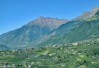 Fototapeta na wymiar Blick auf Dorf Tirol nahe Schenna und Meran,Südtirol,Italien
