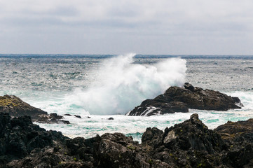 Obraz premium Pacific wave action