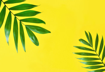 Fototapeta na wymiar Palm Leaves on Yellow Background