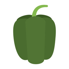 bell pepper vegetable icon image vector illustration design 