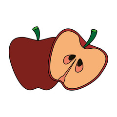apple fruit icon image vector illustration design 