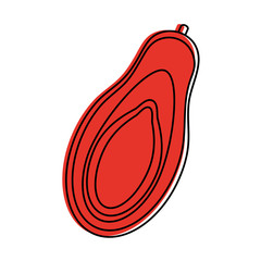 avocado half vegetable icon image vector illustration design red color