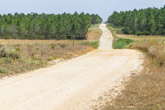 Dirty road in Aljezur