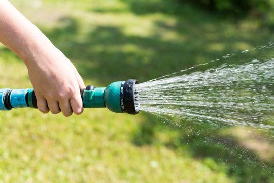 Female hand watering  green grass with garden hose