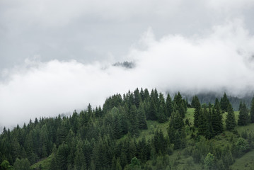 Obraz na płótnie Canvas Mountain hills covered with fog in summer