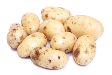 Raw potatos for eating on white background