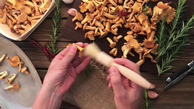 Frisch gesammelte pilze zubereiten