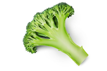 Fresh green cut half of broccoli on white background