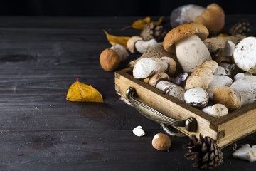 tray with autumn mushrooms