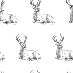 Vector seamless pattern with hand drawn forest deers. Background with wild animals in sketch style. Black and white texture