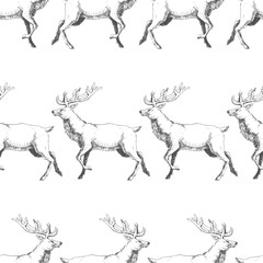 Fototapeta na wymiar Vector seamless pattern with hand drawn forest deers. Background with wild animals in sketch style. Black and white texture
