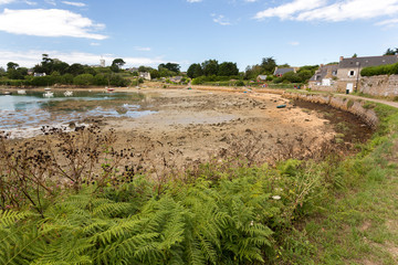 Marée basse sur l'île de Bréhat