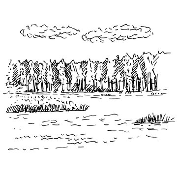 Hand drawn landscape with lake and forest. Sketch, vector illustration.