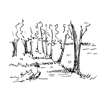 Hand drawn landscape with lake and forest. Sketch, vector illustration.