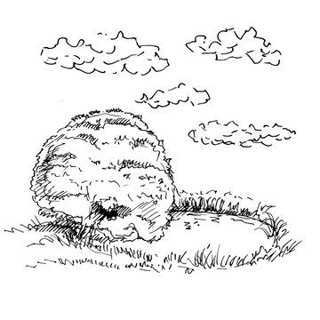 Hand drawn landscape with lake and forest. Sketch, vector illustration.