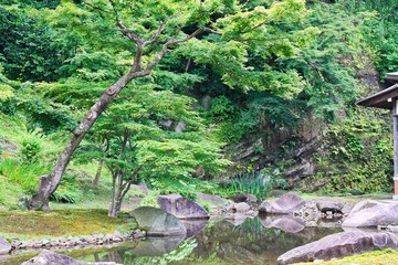Japanese Garden