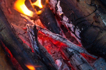 Campfire coals