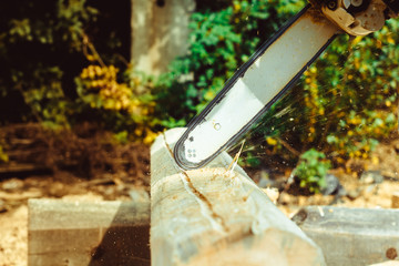 worker sawing a chainsaw tree