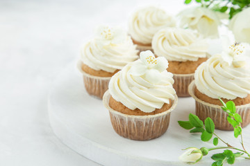 Obraz na płótnie Canvas vanilla cupcakes with cream cheese frosting