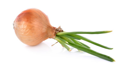 onion