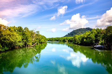 Big river with mangrove forest and bright sky.