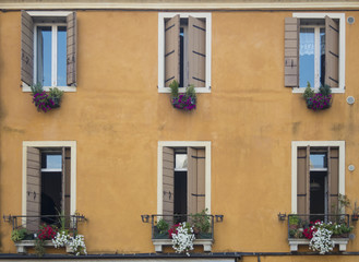 Fototapeta na wymiar Padova windows