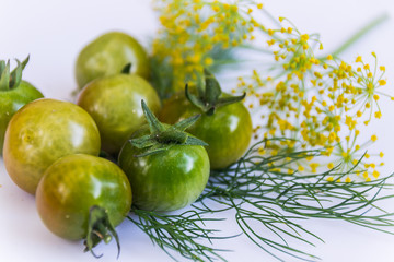 Cherry tomatoes and dill.