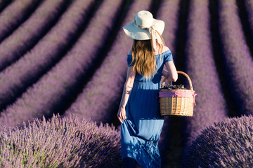 Girl in a white hat with a basket walking through lavender fields