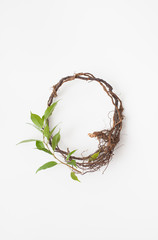 Fototapeta premium Branch with leaves and roots in the form of circle on white.