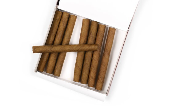 Cigarillos without filter in box isolated over white background, top view
