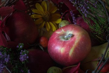 red apple on fall flowers and leaves background
