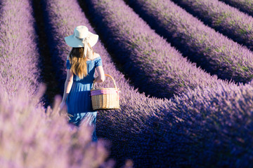 Girl in a white hat with a basket walking through lavender fields