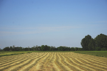 field after harvest