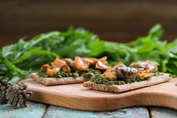 Fototapeta na wymiar Vegan snack. Rye crackers with wood porcini and chanterelle mushrooms with green sauce decorated with pine cones