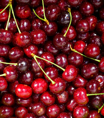 Freshly red cherry berries with water droplets. Healthy food background