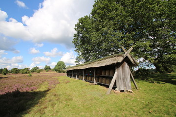 Lebendiger Bienenstock in der L&uuml;neburger Heide