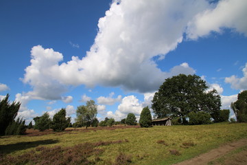Bienenstock in der Heide